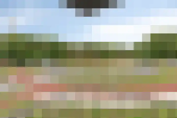 Reeshofweg 44 Tilburg thumbnail 17
