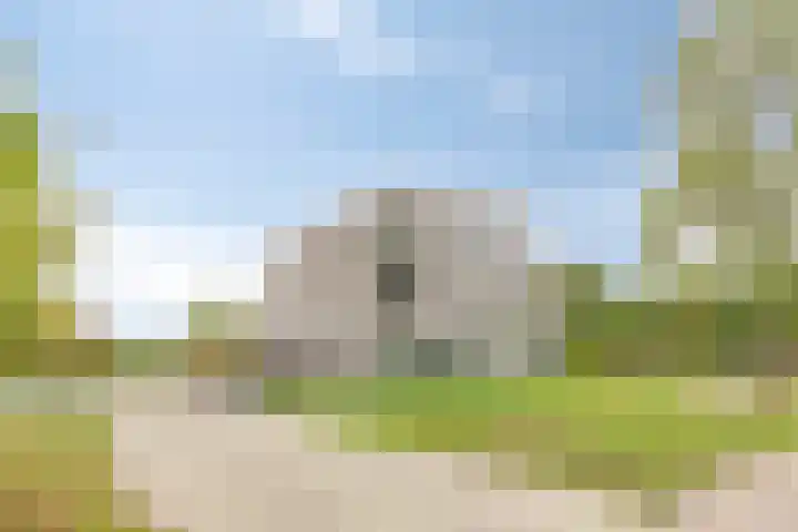 Reeshofweg 44 Tilburg thumbnail 30