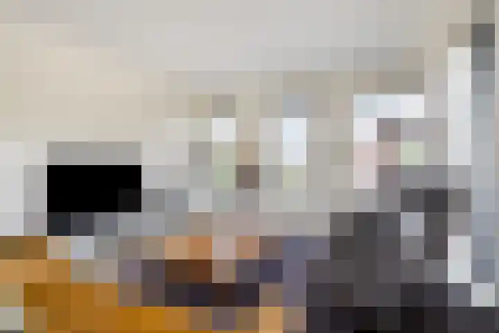 Reeshofweg 44 Tilburg thumbnail 4