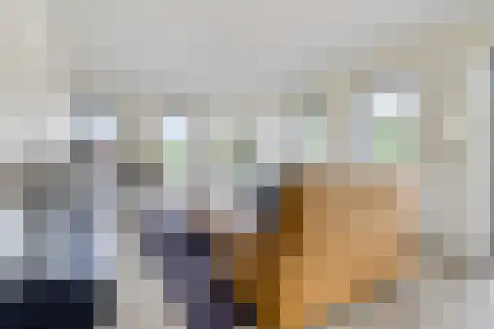 Reeshofweg 44 Tilburg thumbnail 5