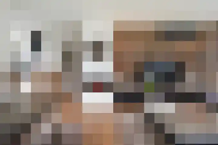 Reeshofweg 46 Tilburg thumbnail 12