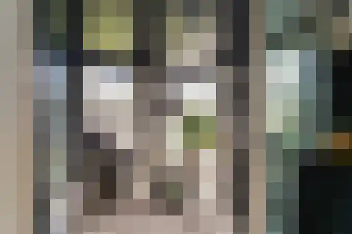 Reeshofweg 46 Tilburg thumbnail 17