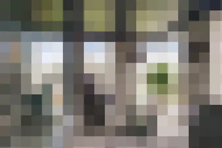 Reeshofweg 46 Tilburg thumbnail 18