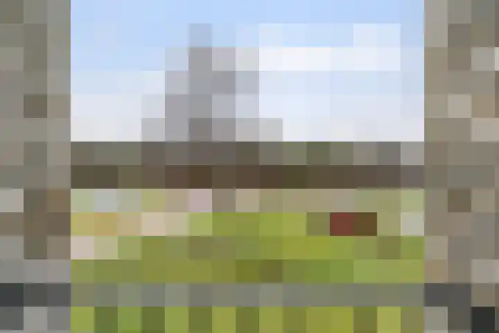 Reeshofweg 46 Tilburg thumbnail 21