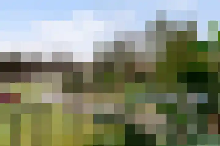 Reeshofweg 46 Tilburg thumbnail 22