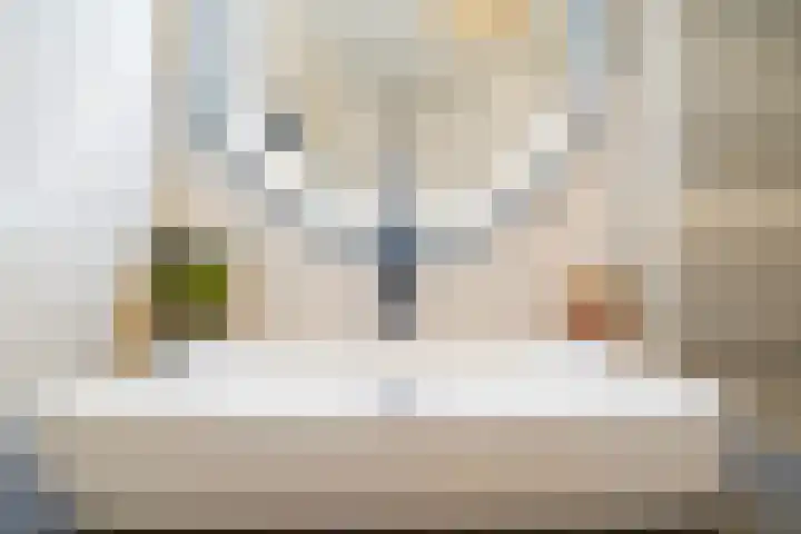 Reeshofweg 46 Tilburg thumbnail 33