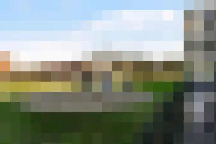 Reeshofweg 46 Tilburg thumbnail 38