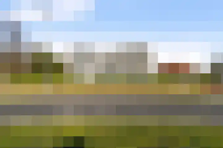 Reeshofweg 46 Tilburg thumbnail 40