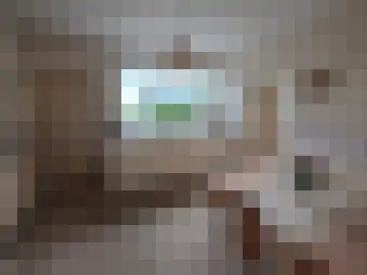 Reesloot 13 Pijnacker thumbnail 12