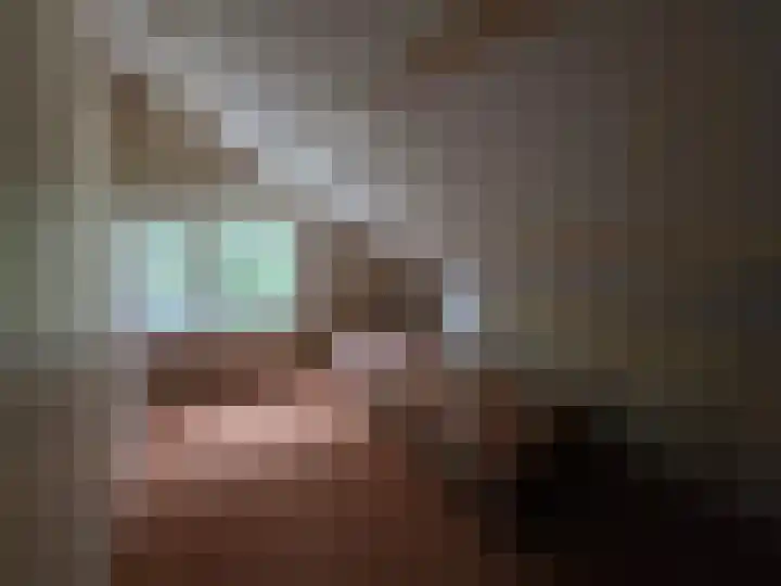 Reesloot 13 Pijnacker thumbnail 21