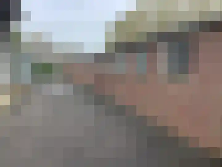 Reesloot 13 Pijnacker thumbnail 22