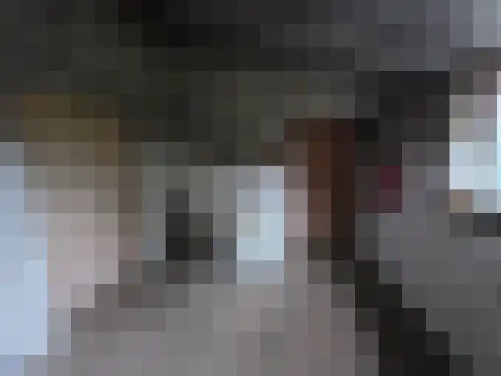 Reesloot 13 Pijnacker thumbnail 26