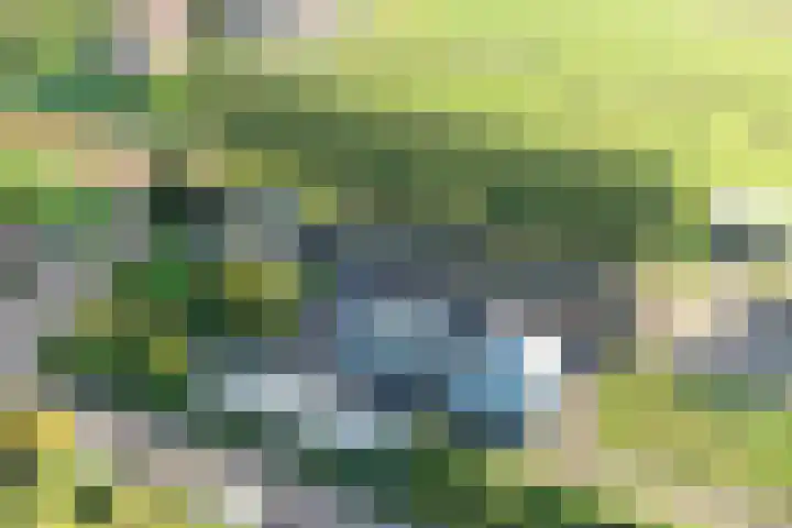 Reesloot 13 Pijnacker foto 3