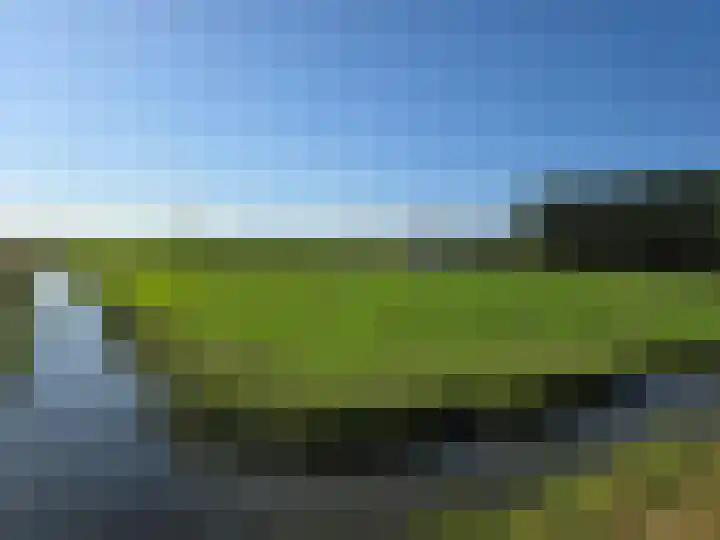 Reesloot 13 Pijnacker thumbnail 32