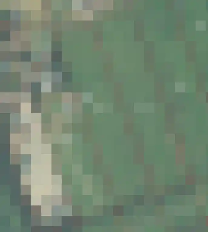 Reesloot 13 Pijnacker thumbnail 33