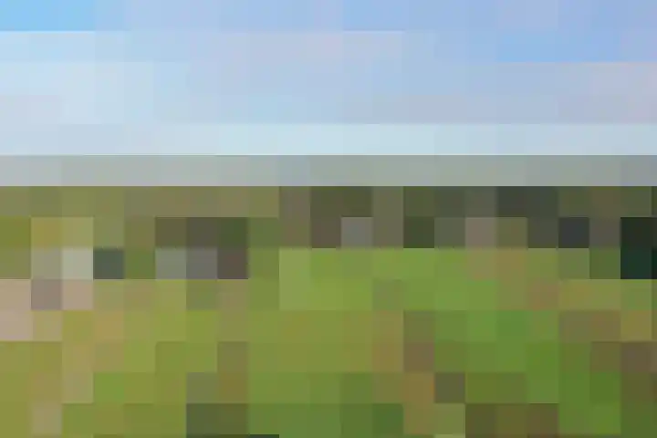 Reesloot 13 Pijnacker thumbnail 6