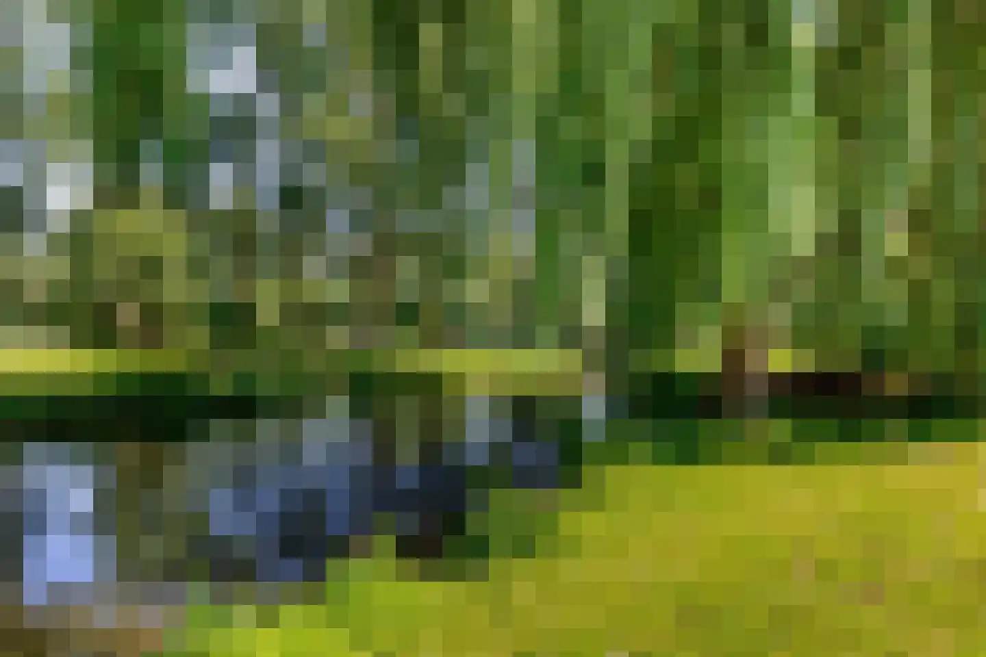 Reesloot 48 Zevenbergen thumbnail 29
