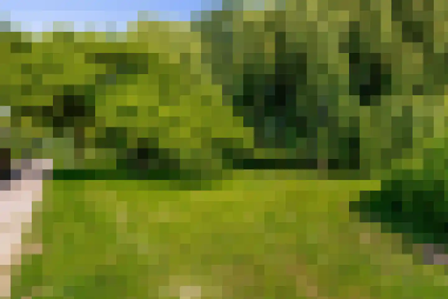 Reesloot 48 Zevenbergen thumbnail 30
