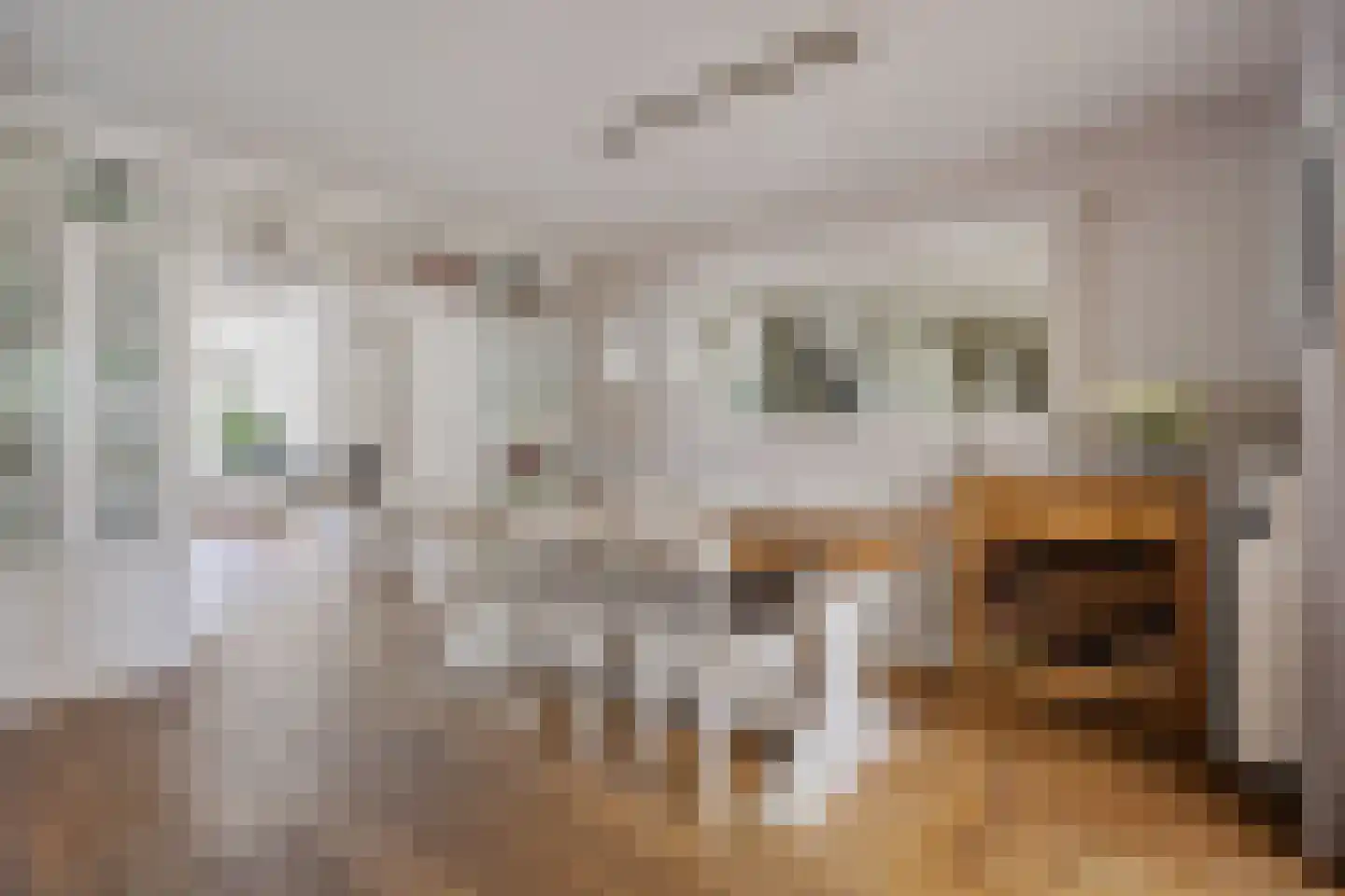 Reespoor 28 Soest thumbnail 15