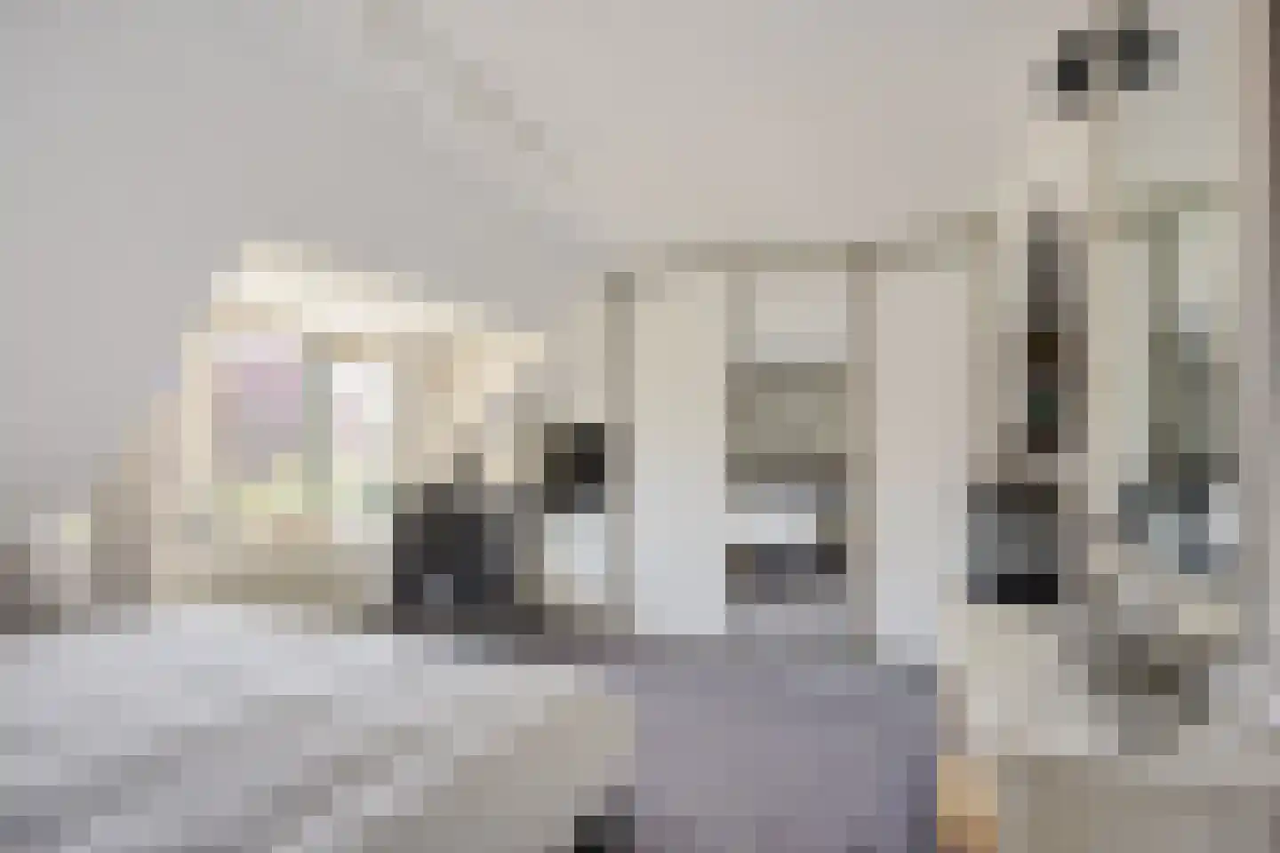 Reespoor 28 Soest thumbnail 18