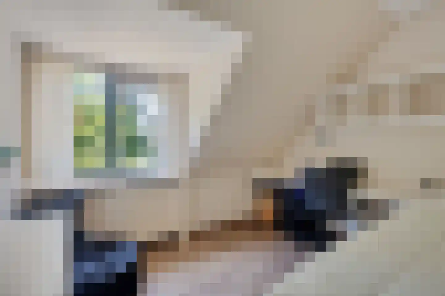 Reespoor 28 Soest thumbnail 22