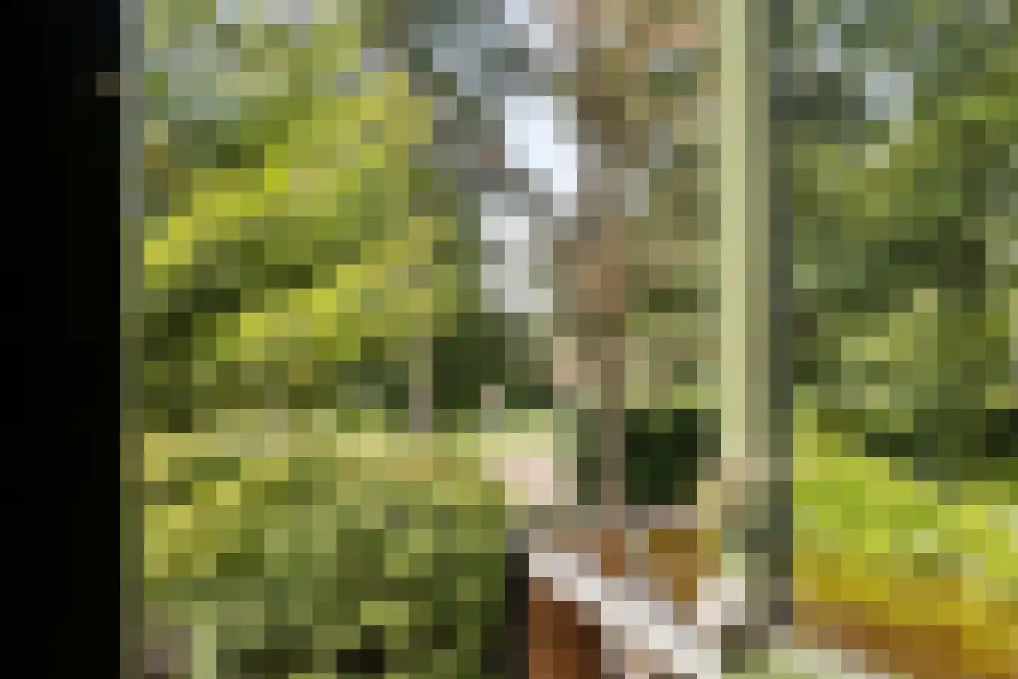 Reespoor 28 Soest thumbnail 23