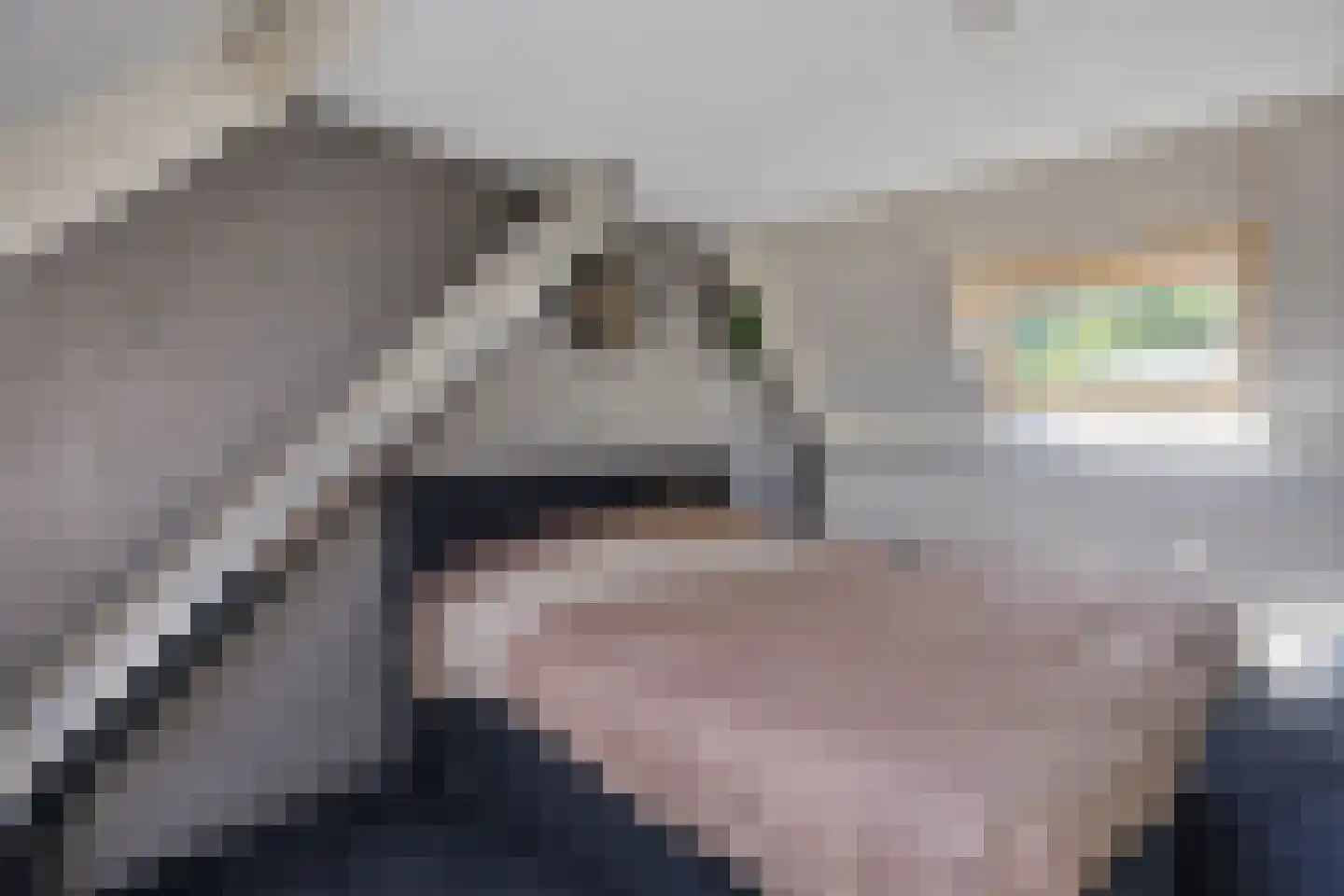 Reespoor 28 Soest thumbnail 28