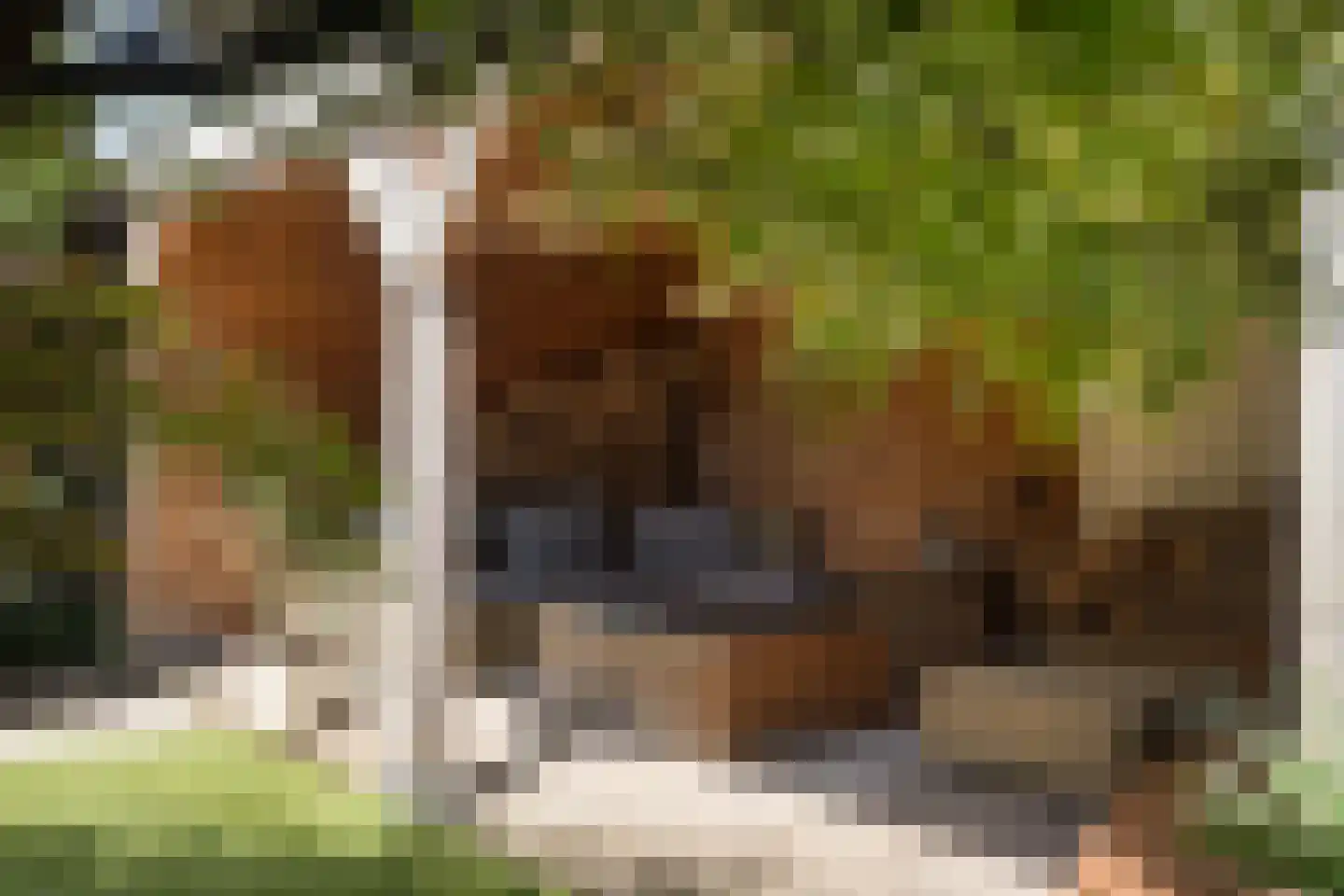 Reespoor 28 Soest thumbnail 30
