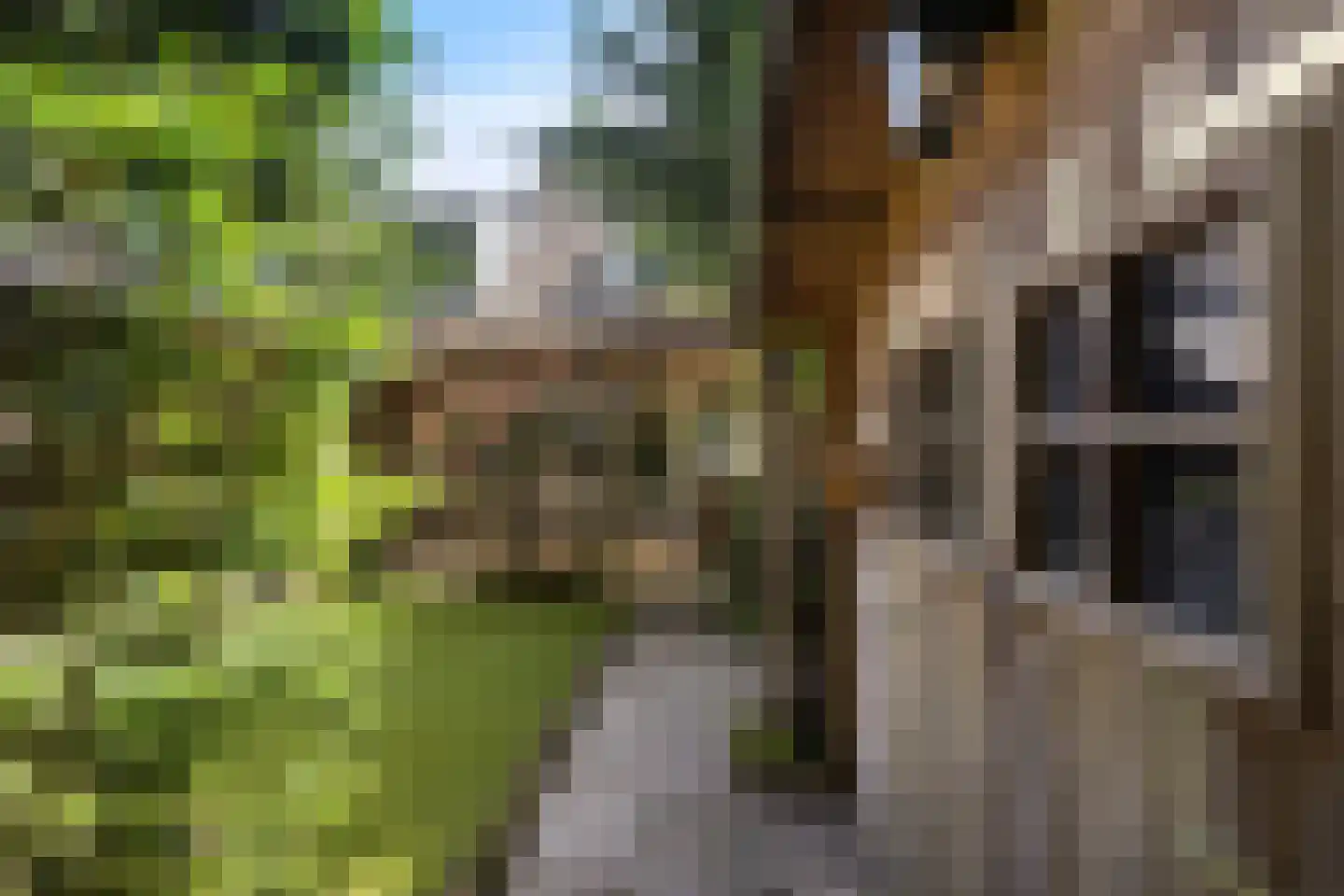 Reespoor 28 Soest thumbnail 31