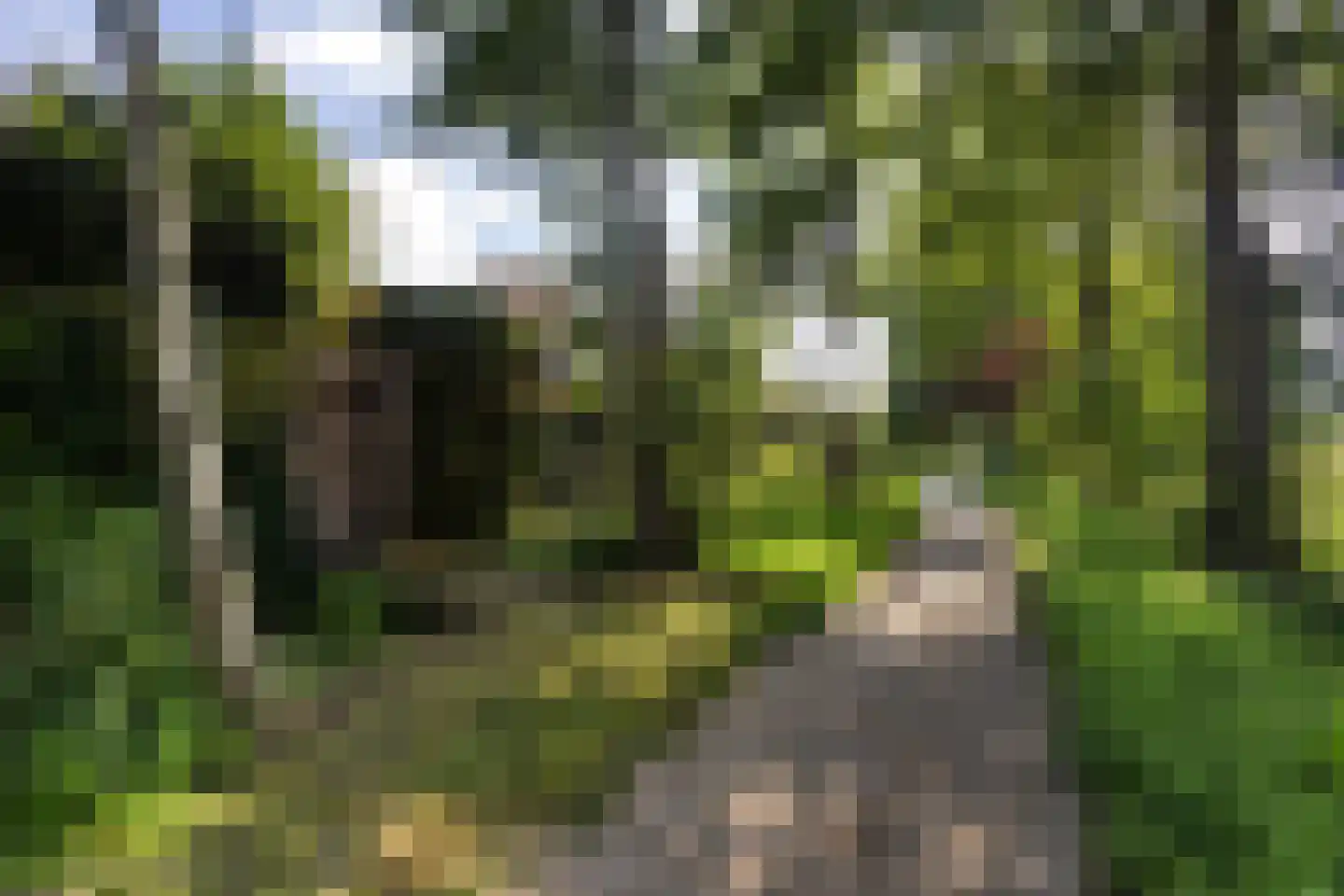 Reespoor 28 Soest thumbnail 33