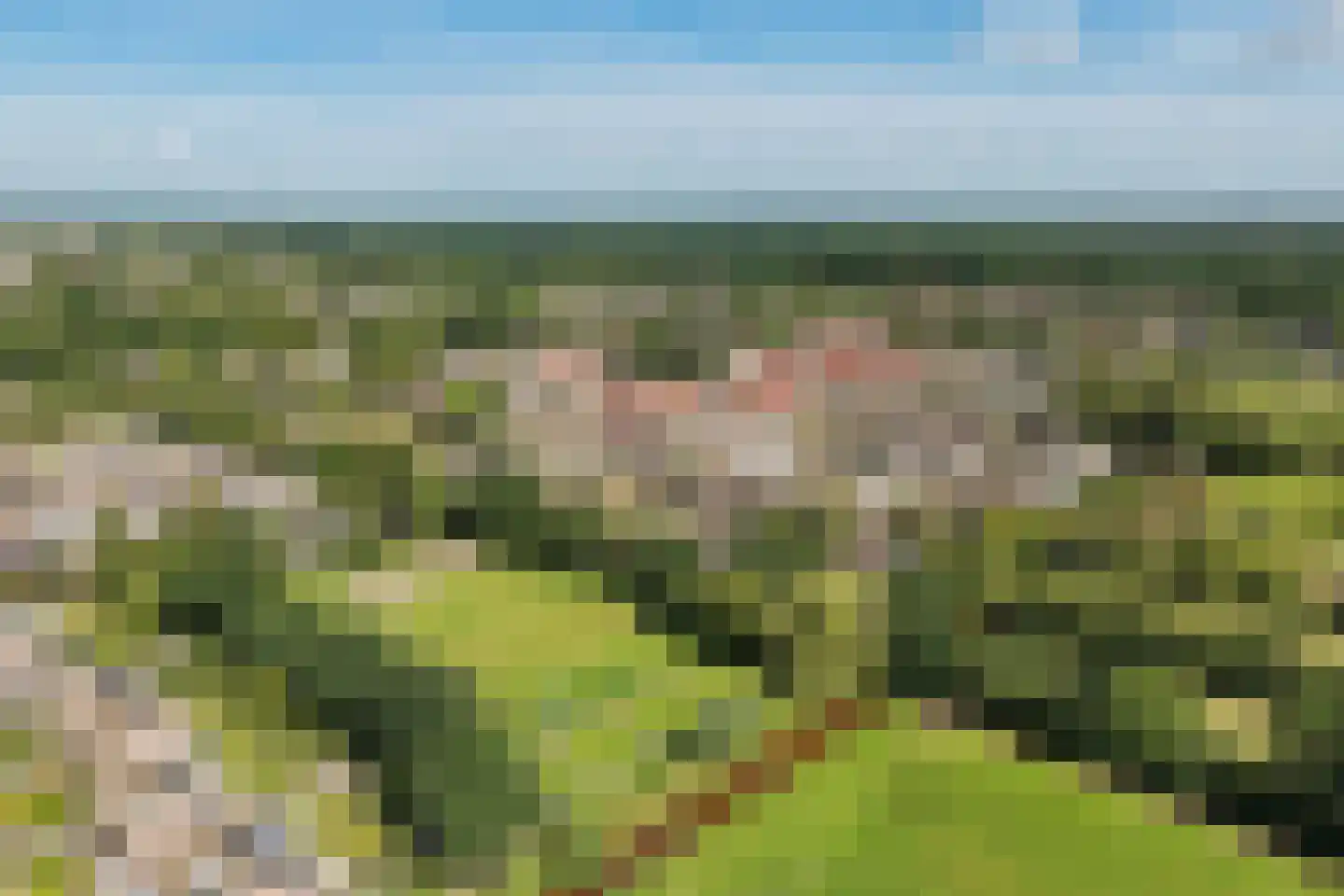 Reespoor 28 Soest thumbnail 35