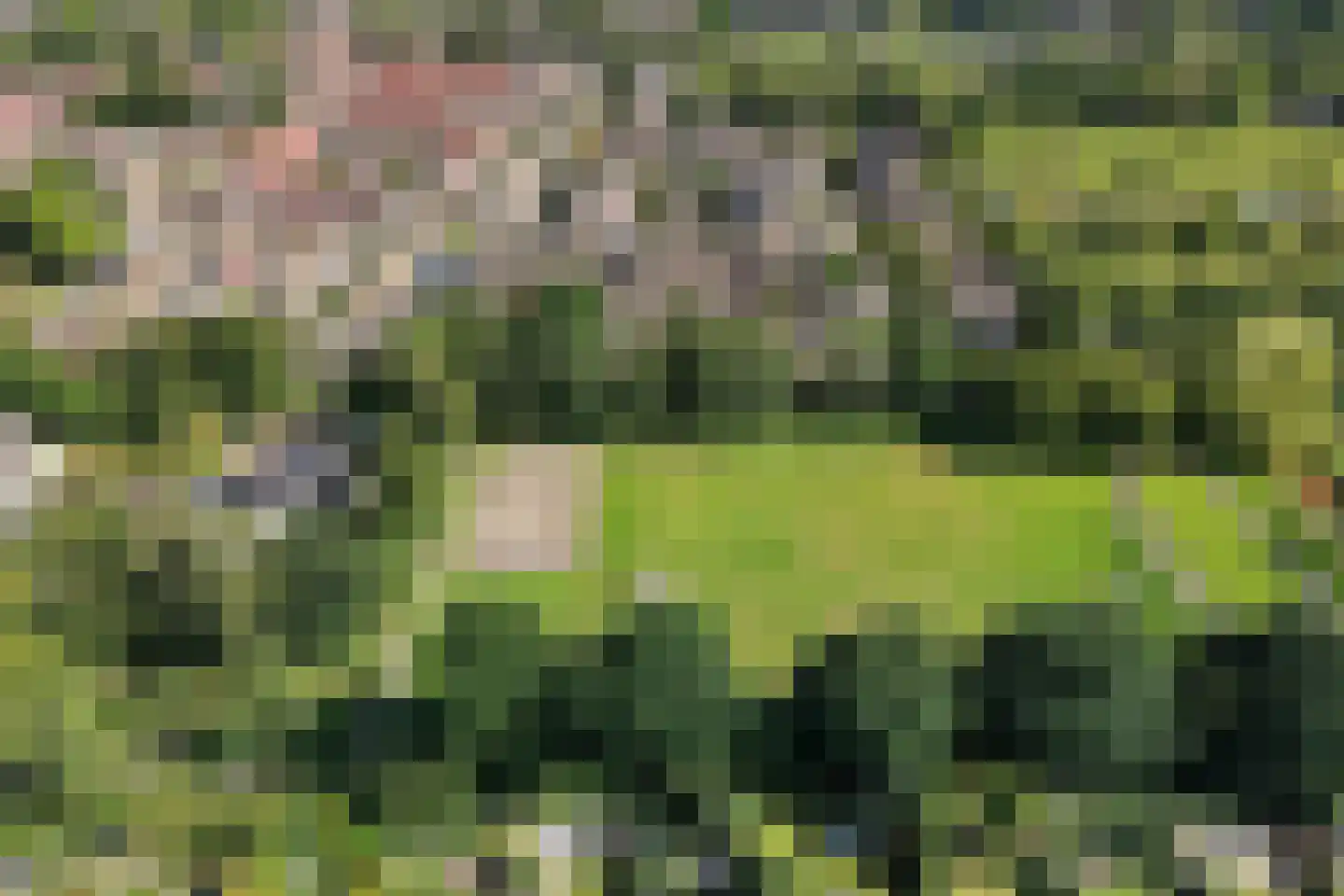 Reespoor 28 Soest thumbnail 38