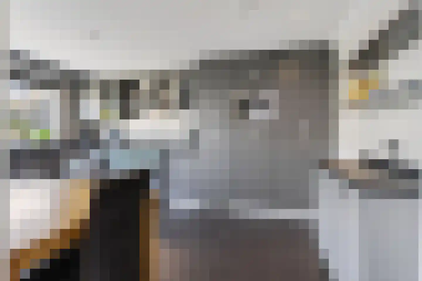 Reesstraat 14 Made thumbnail 18