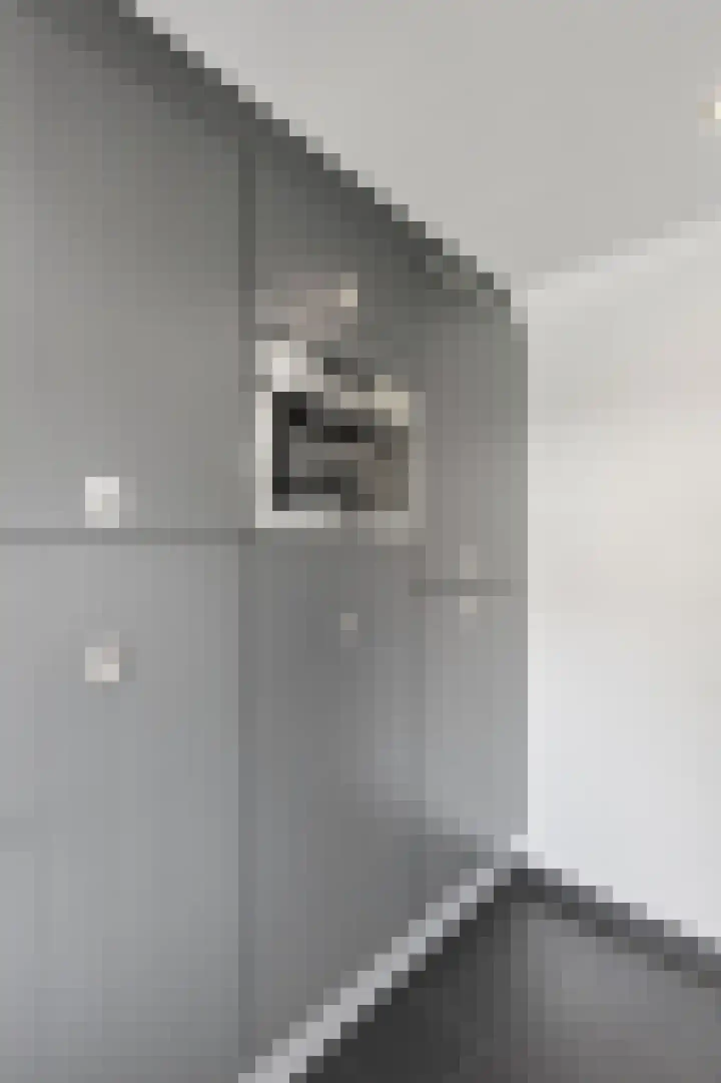 Reesstraat 14 Made thumbnail 20