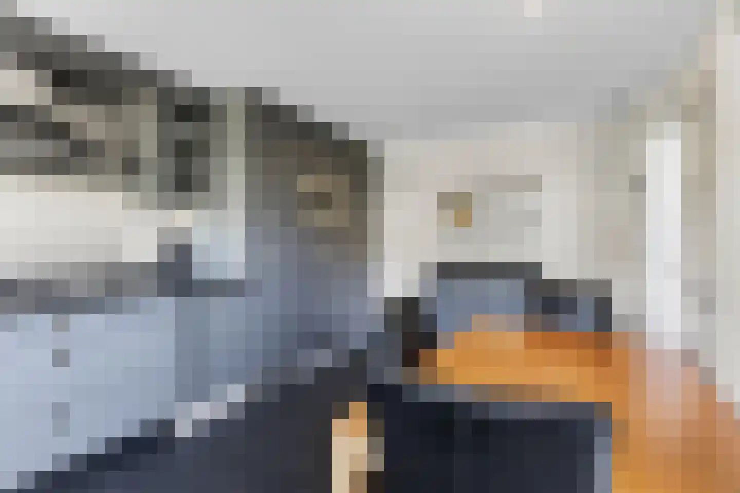 Reesstraat 14 Made thumbnail 25