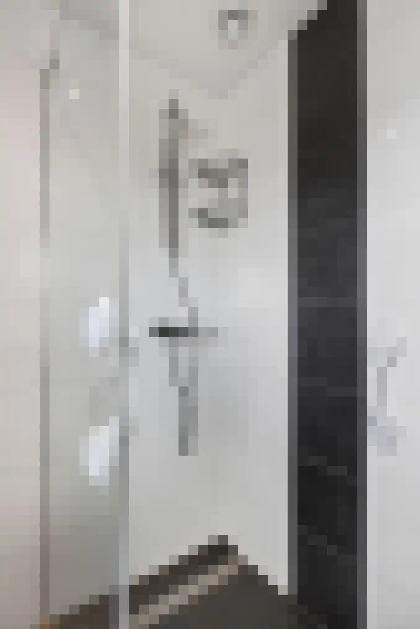 Reesstraat 14 Made thumbnail 38