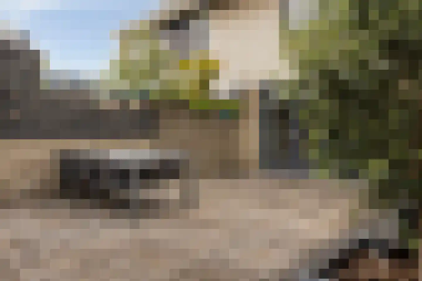 Reesstraat 4 Made thumbnail 37
