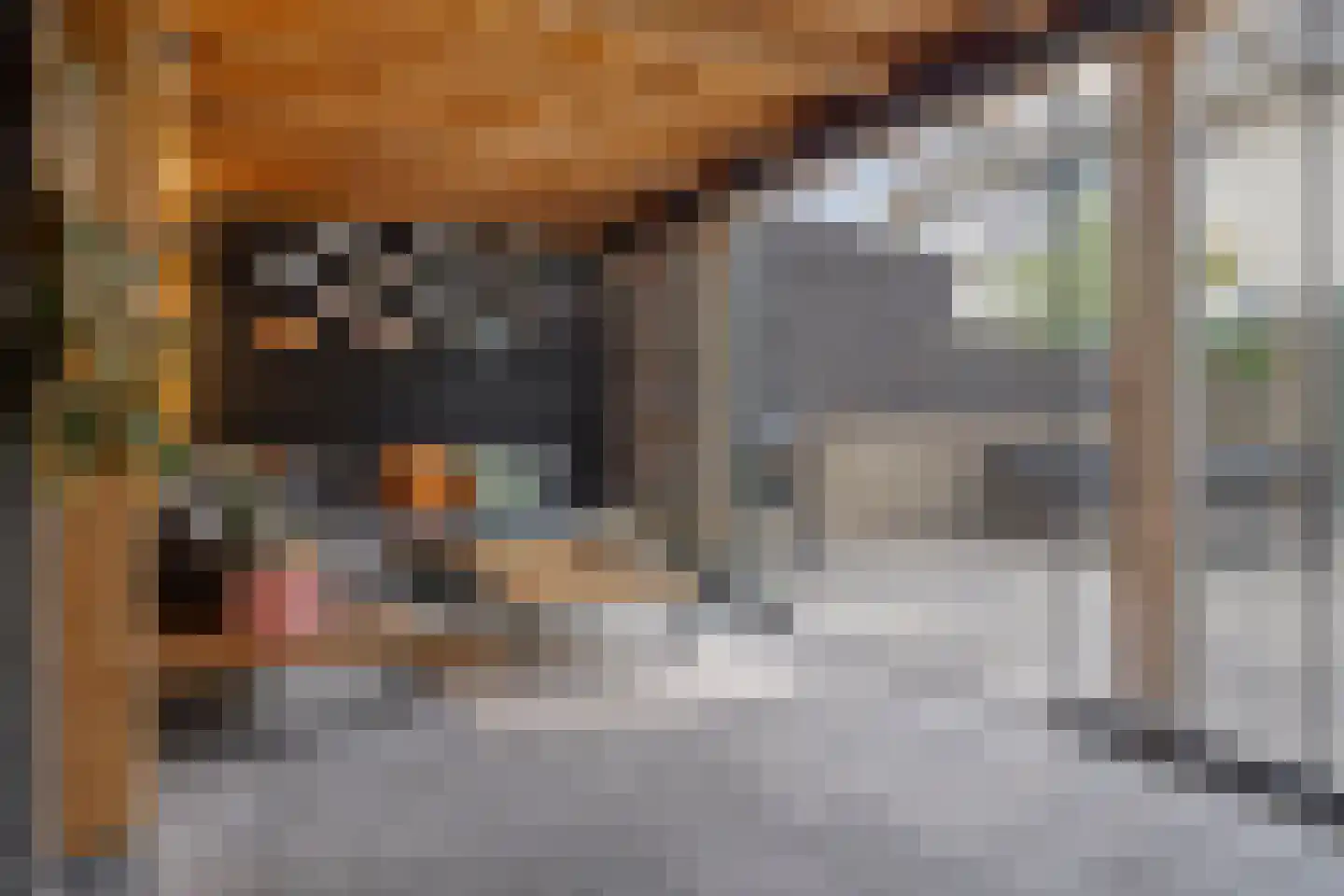 Reesstraat 4 Made thumbnail 39