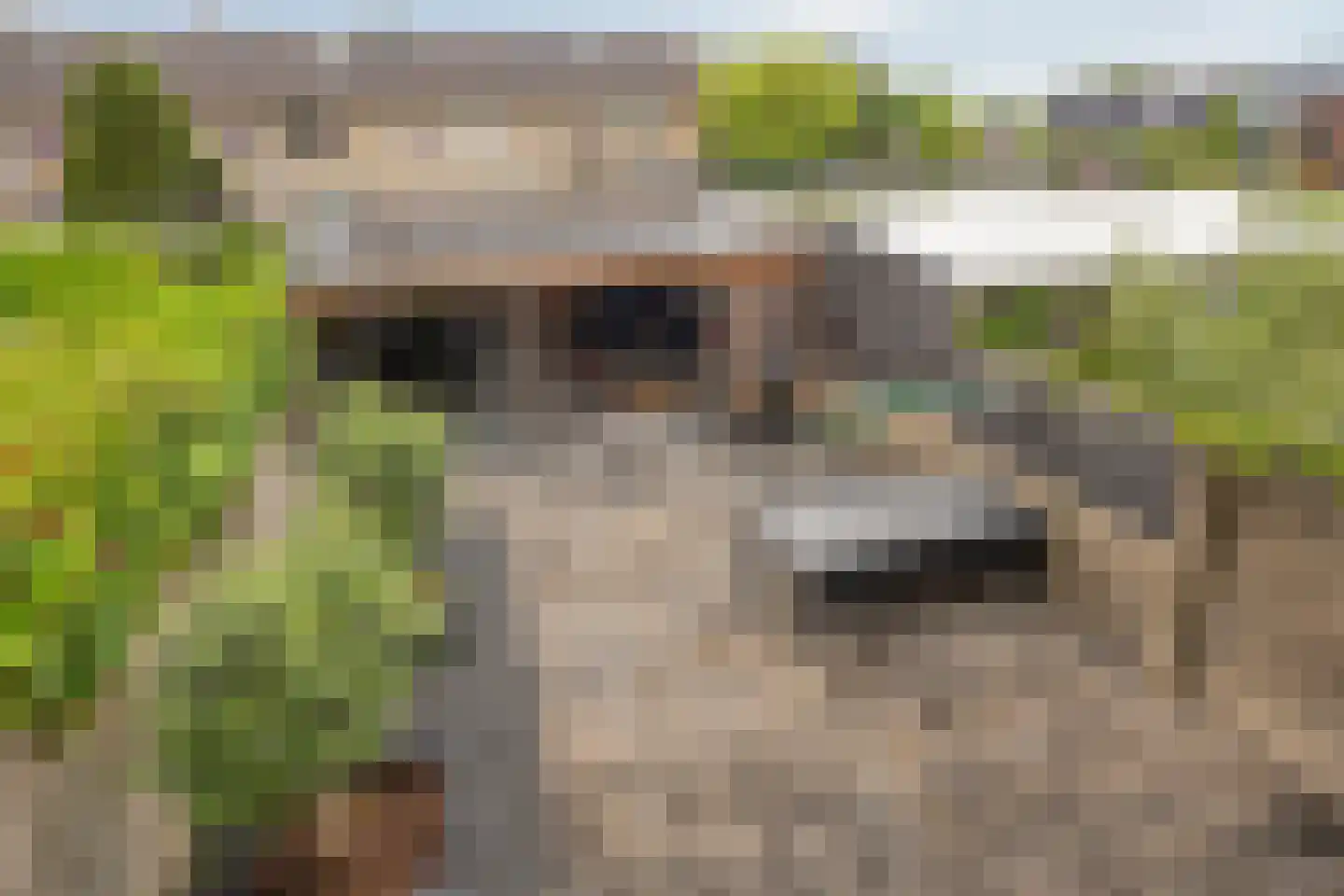 Reesstraat 4 Made thumbnail 43