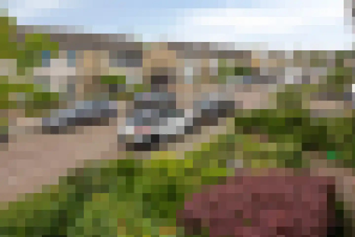 Reesstraat 4 Made thumbnail 44
