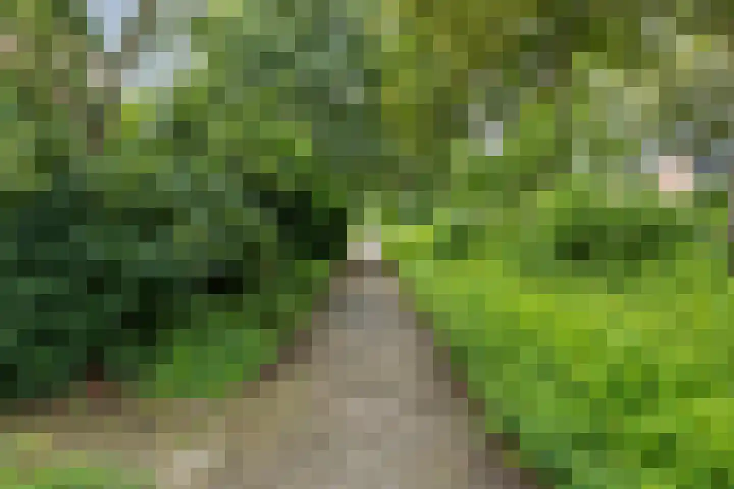 Reesstraat 4 Made thumbnail 46