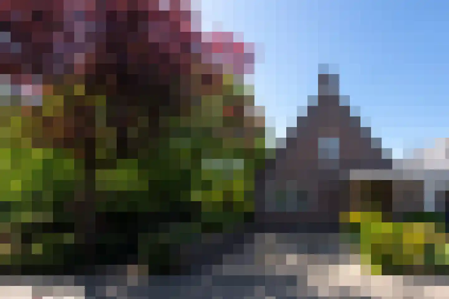 Reest 15 in Tilburg