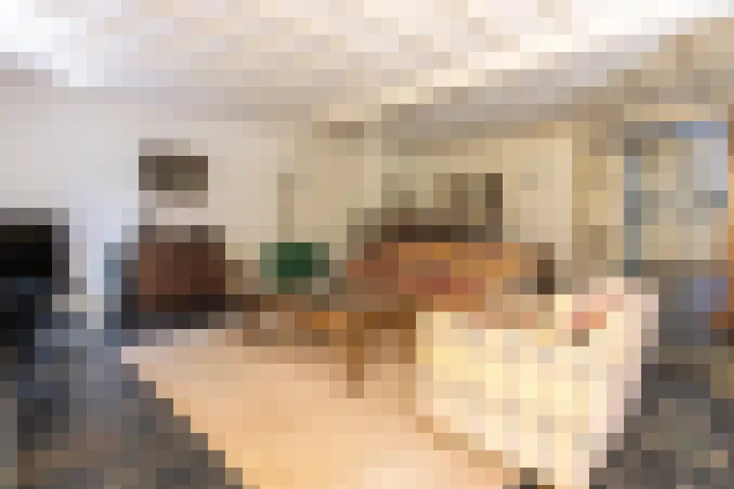 Reest 15 Tilburg thumbnail 10
