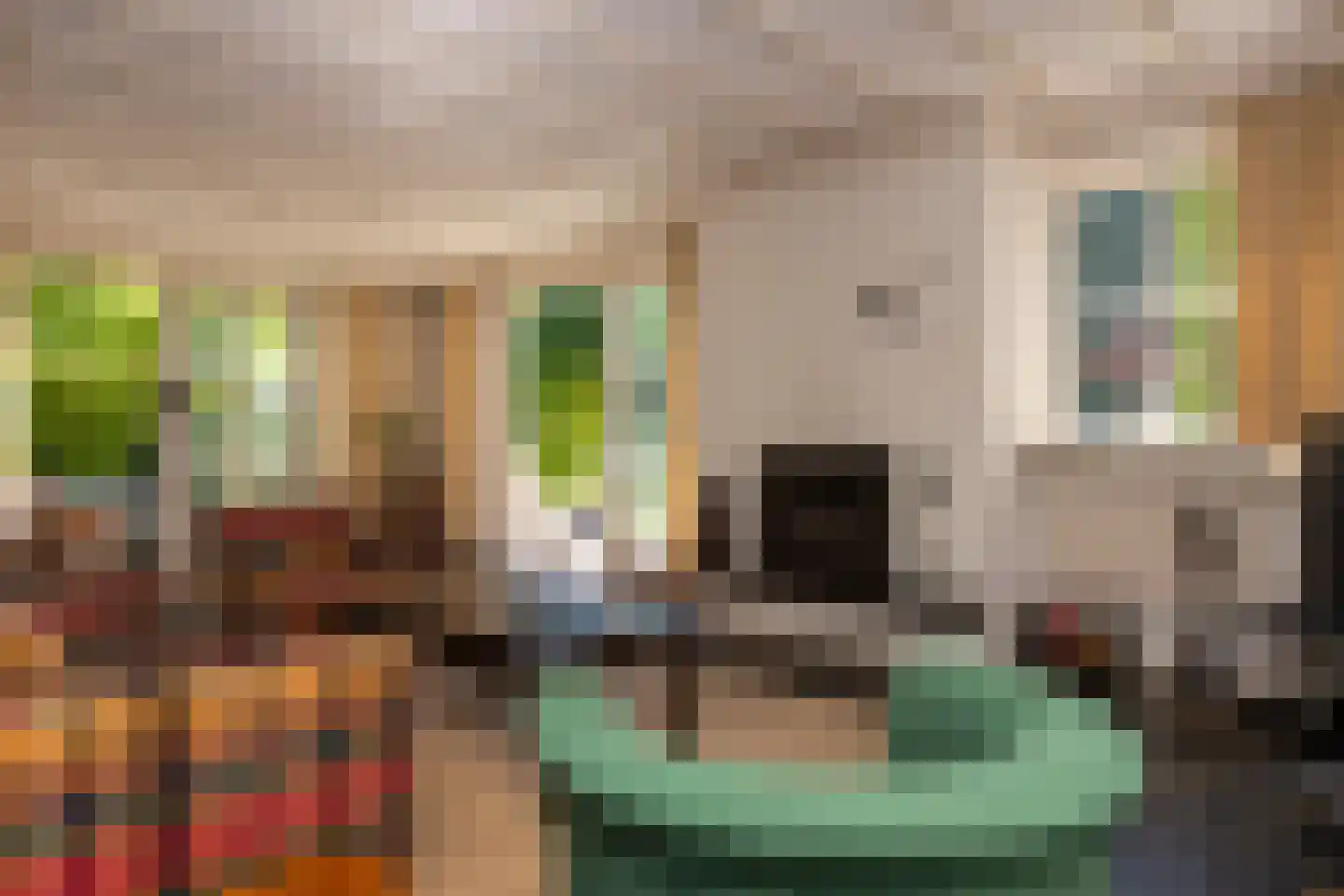 Reest 15 Tilburg thumbnail 11