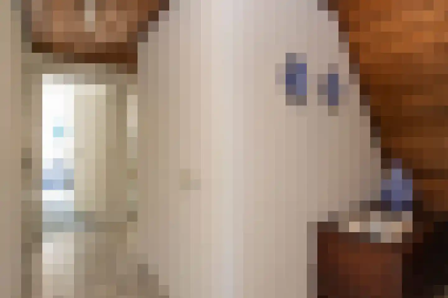 Reest 15 Tilburg thumbnail 17