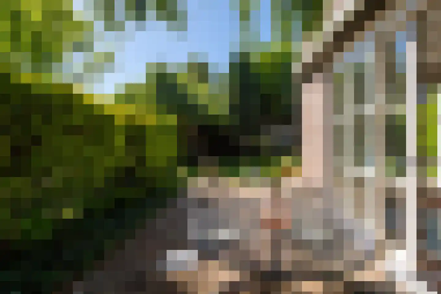 Reest 15 Tilburg thumbnail 25