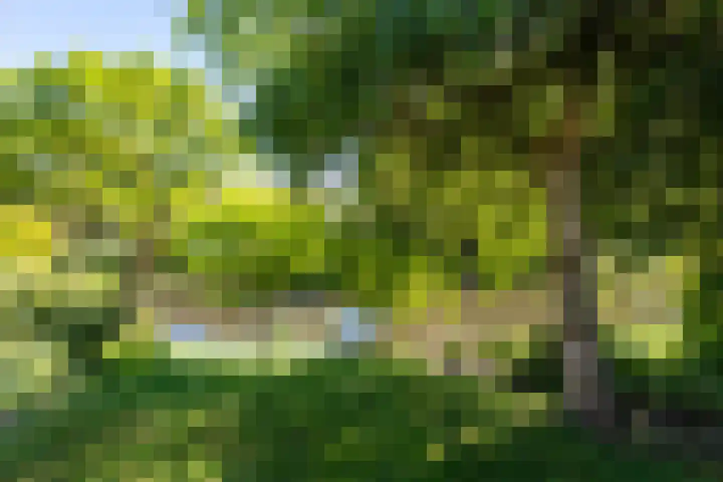 Reest 15 Tilburg thumbnail 30