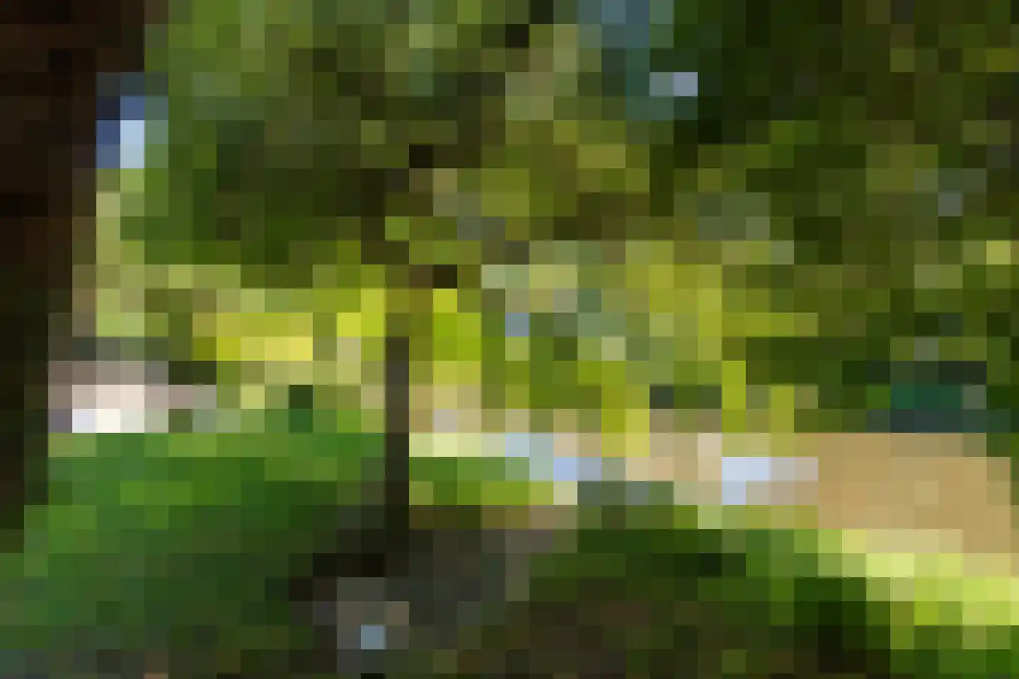 Reest 15 Tilburg thumbnail 31