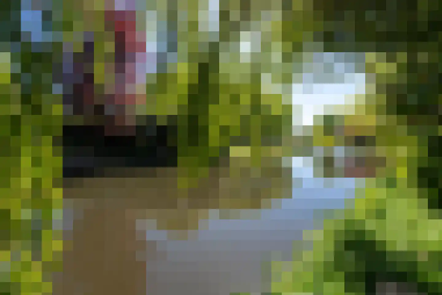 Reest 15 Tilburg thumbnail 32