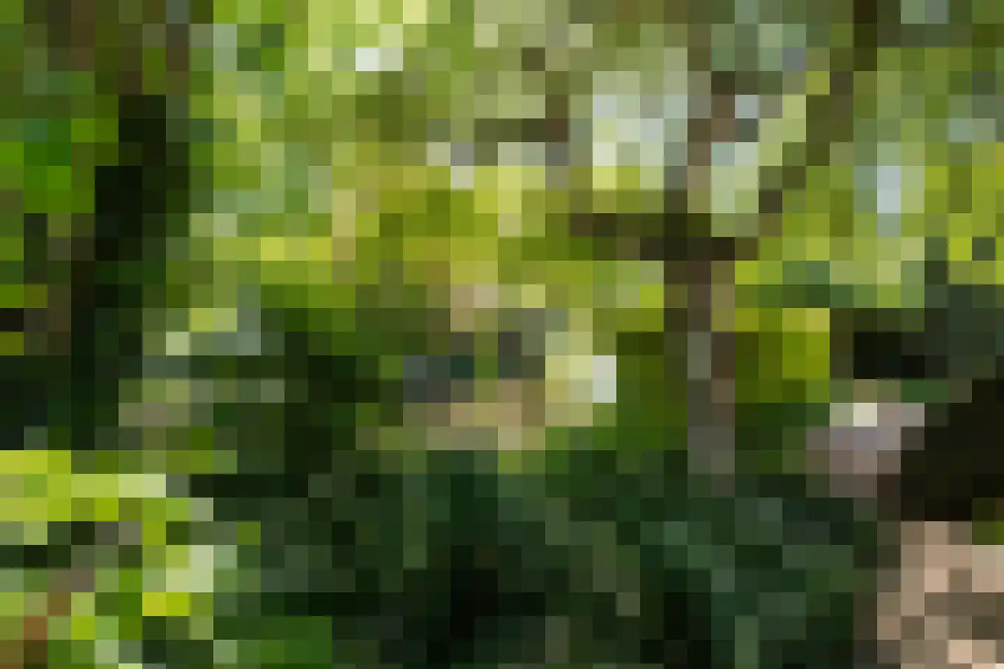 Reest 15 Tilburg thumbnail 33